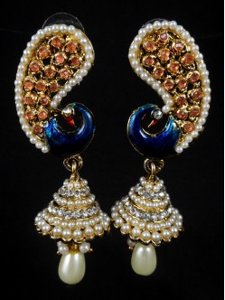 Fashion Earrings